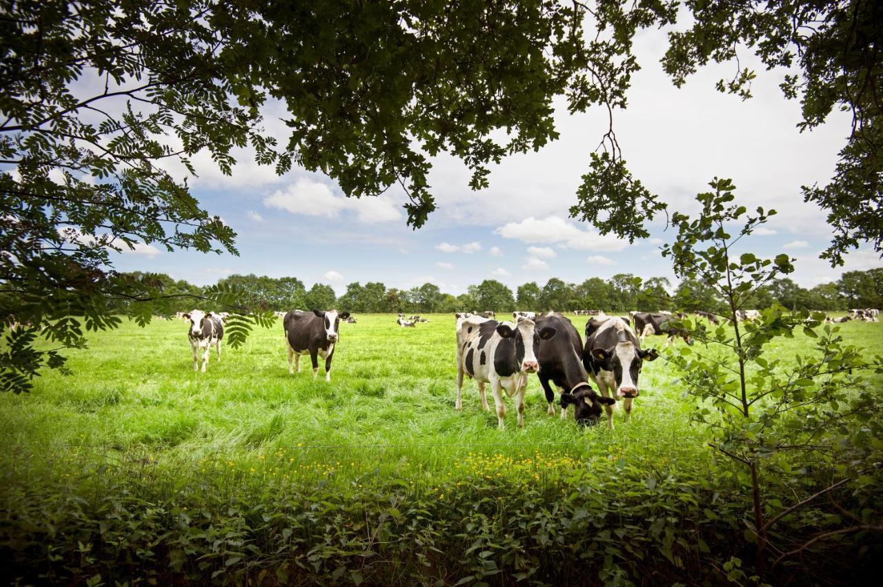 Countryside Eco Natuurhuisjes Ee Exterior photo